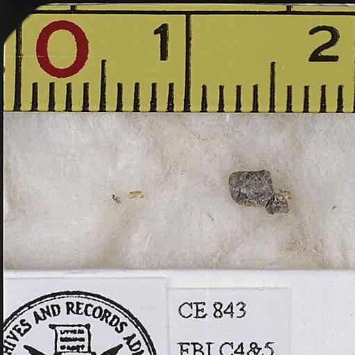 Two Metal Fragments Removed from the Head of President John F. Kennedy at the Time of His Autopsy