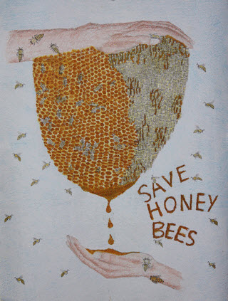 Save Honey Bees