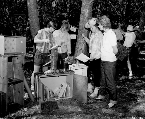 Photograph of Senior Girl Scouts Planning Projects in Wildlife Habitat Improvement Work at Camp Tocanja, 08/1962