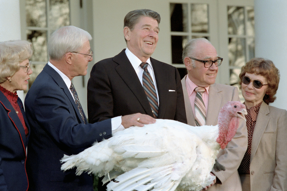 President Reagan Attending a Ceremony to Receive the 36th Annual Thanksgiving Turkey from Representatives of the National Turkey Federation on the South Lawn, 11/21/1983 output_fFWO7r (1)